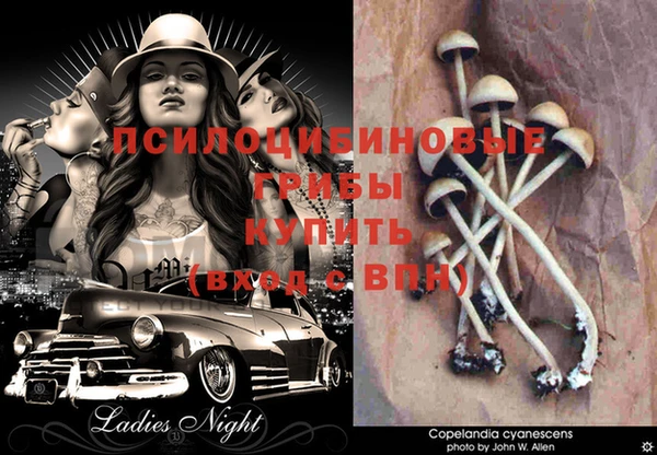 mdma Покачи