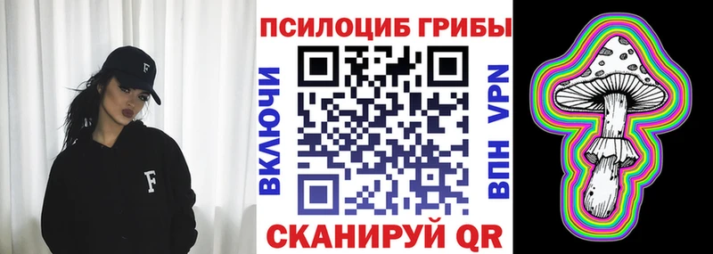 Псилоцибиновые грибы Psilocybe  мега ССЫЛКА  Каргополь 